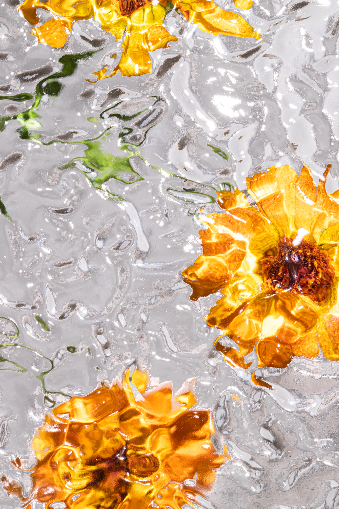 Transparence, Œuvres choisies