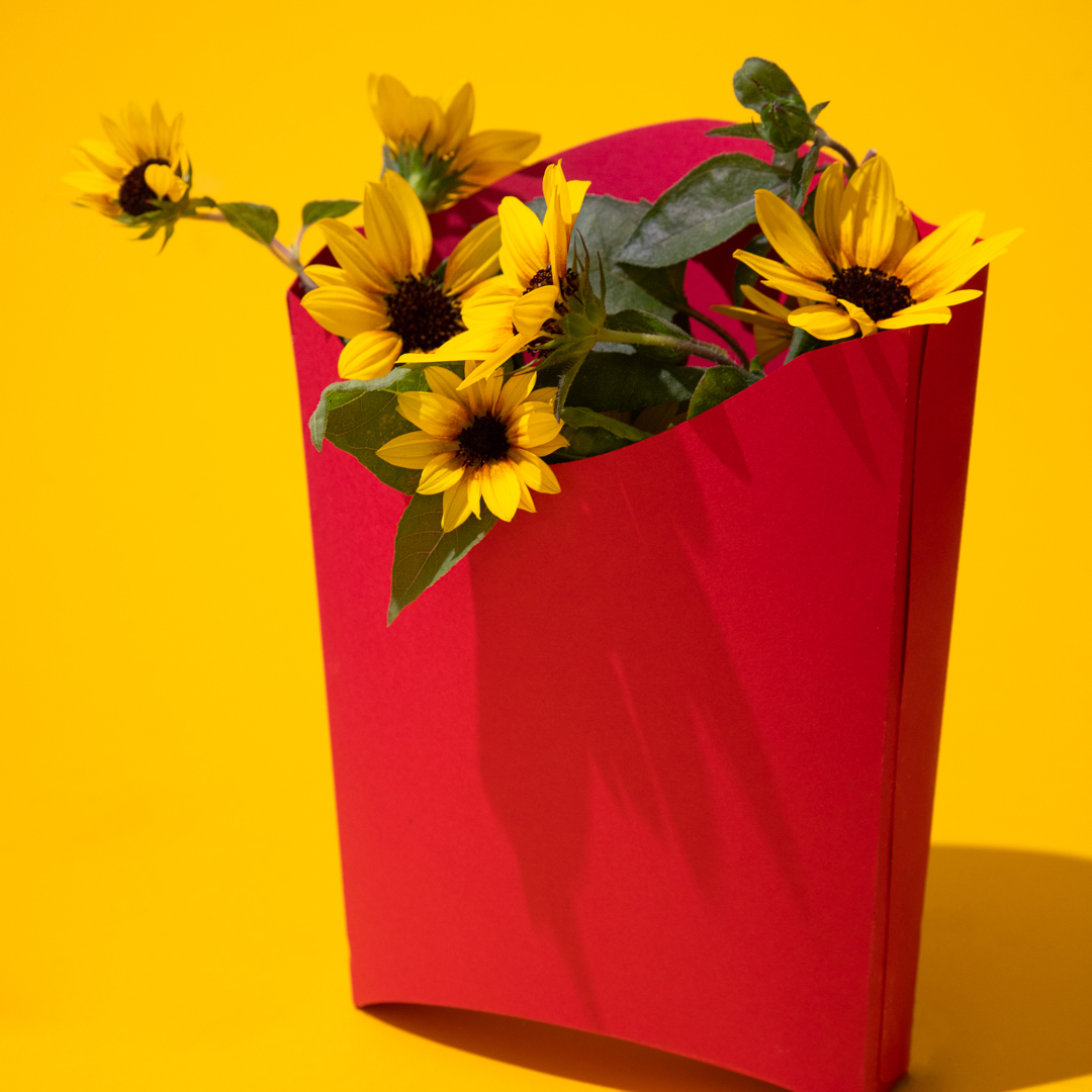 Nature capitaliste, tournesols dans une barquette rouge