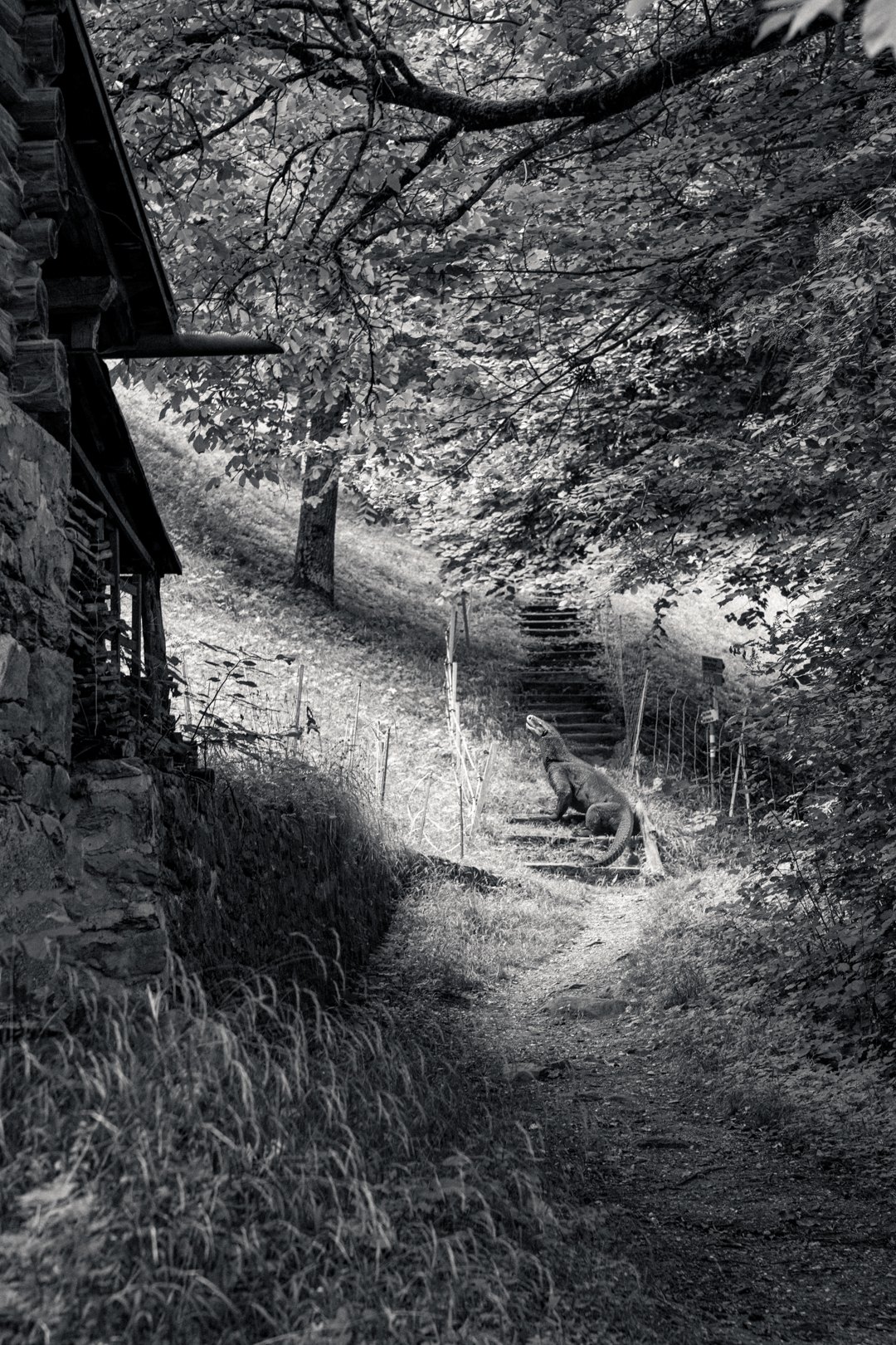 Un sentier dans un sous-bois, une créature au loin, en noir et blanc